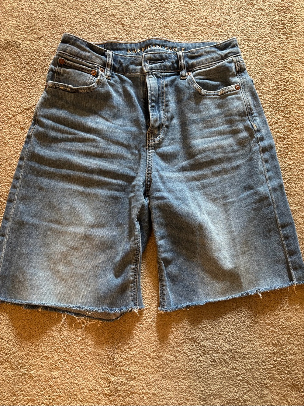 American Eagle Outfitters Light Blue Long Denim Cutoff Shorts (4)